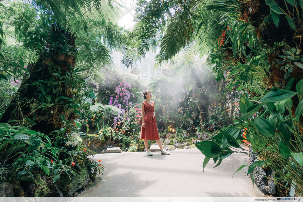 Things to do in Singapore - Singapore Botanic Gardens