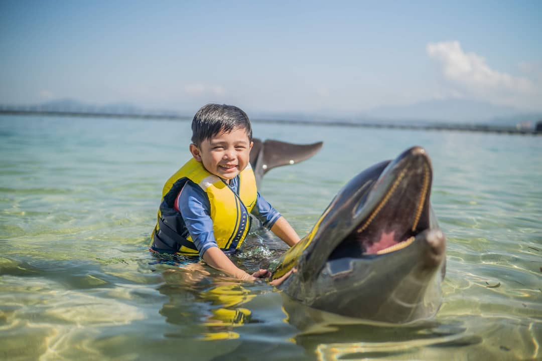 Water Attractions Near Metro Manila -Ocean Adventure