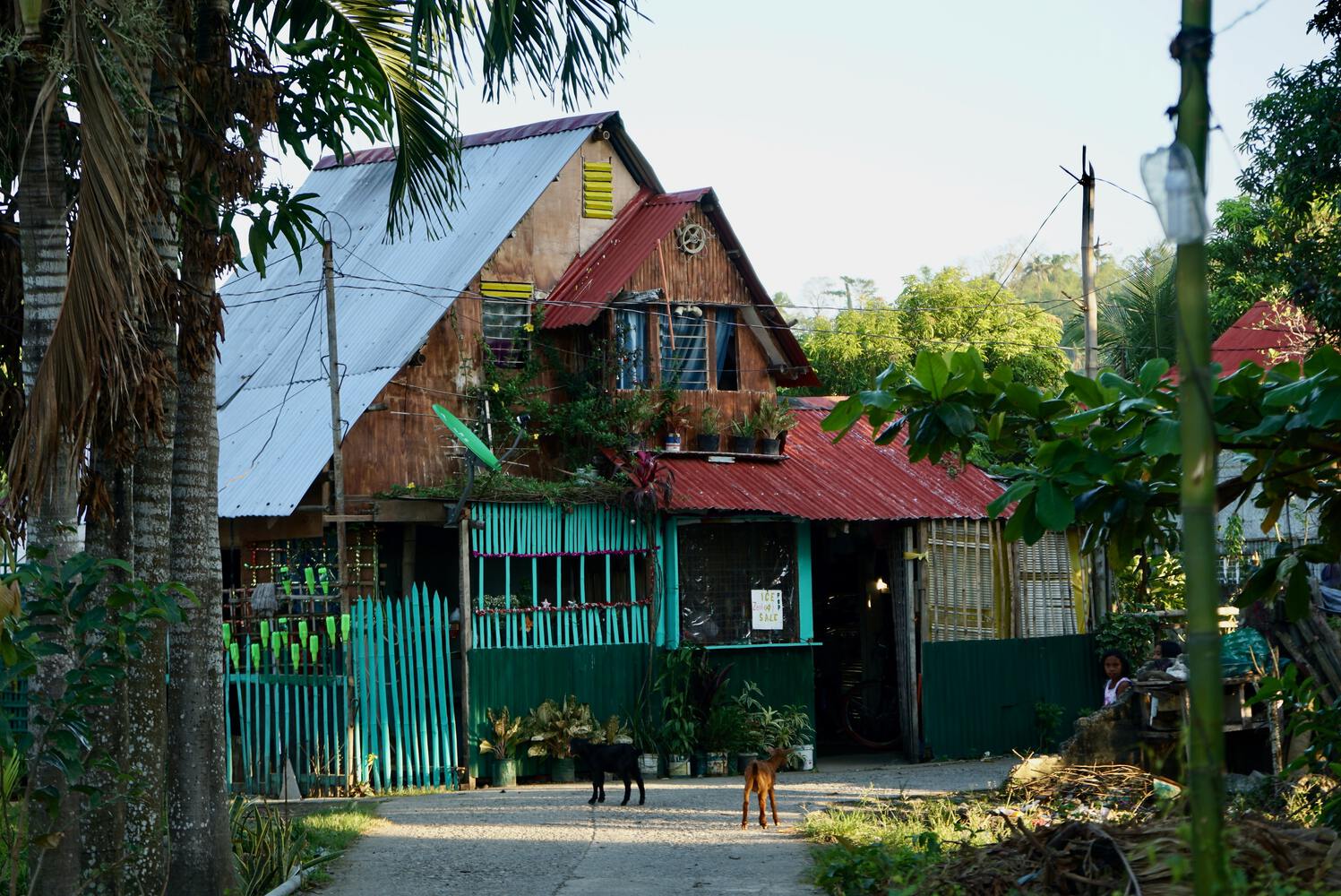 Filipino superstitions - planting trees near your home