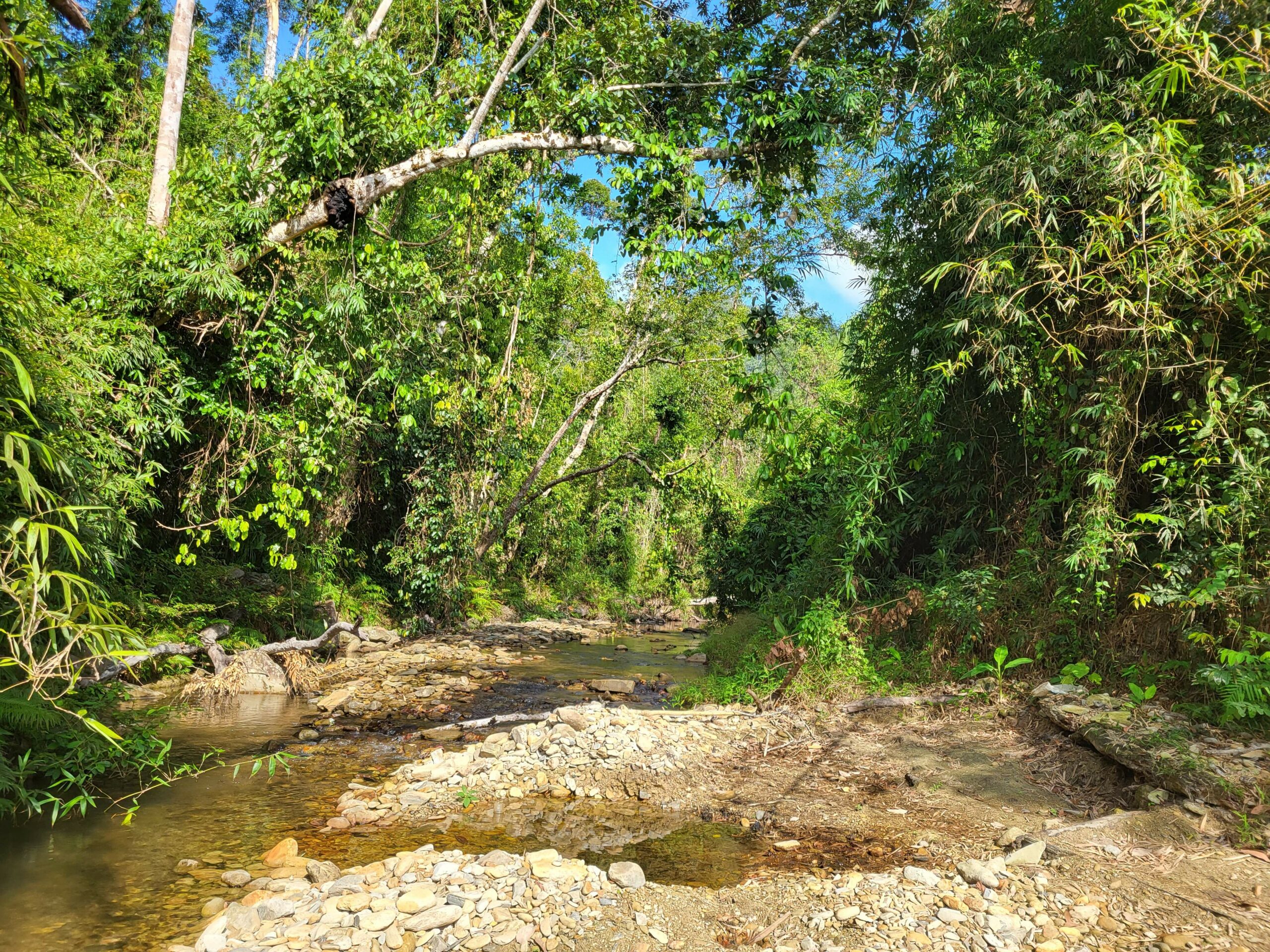 Pamuayan Falls - trail