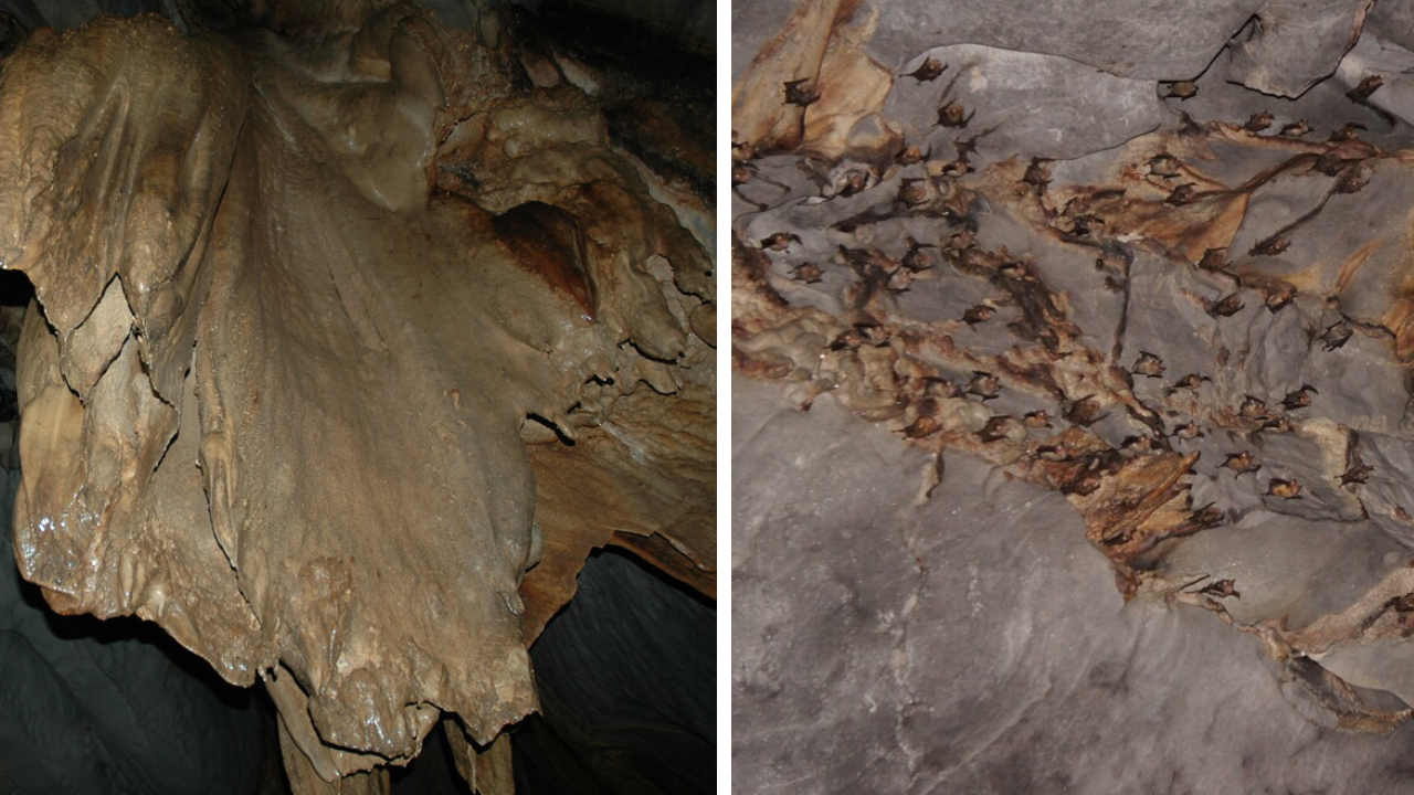 Things to do Palawan - Puerto Princesa Subterranean River National Park - stalactite and stalagmite