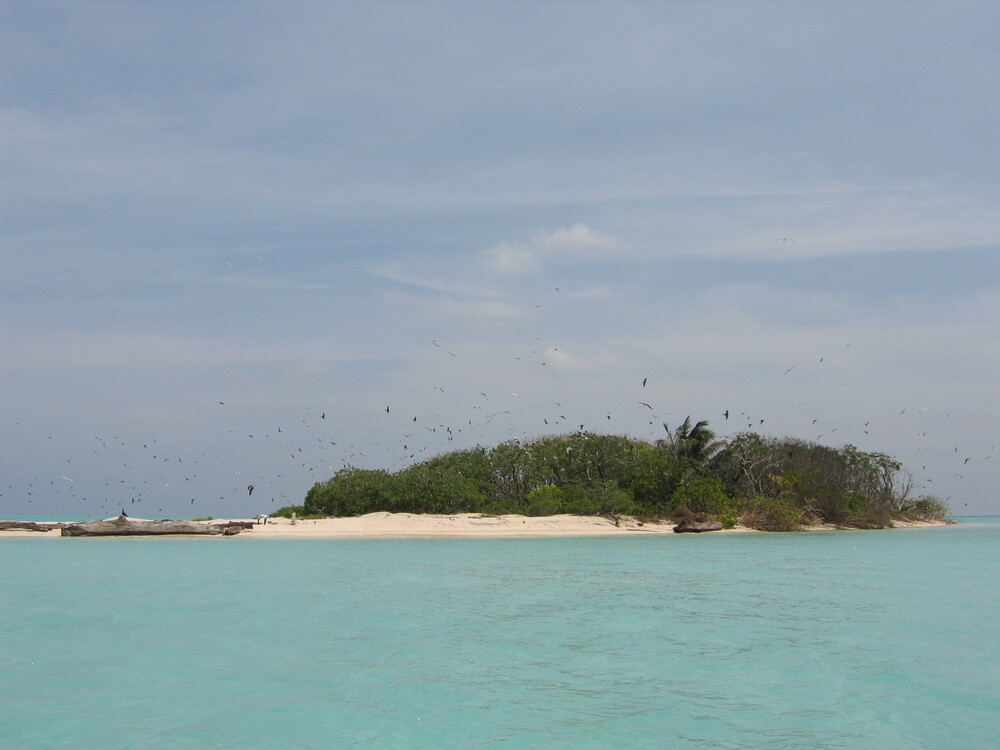 Things to do Palawan - Tubbataha Reefs Natural Park