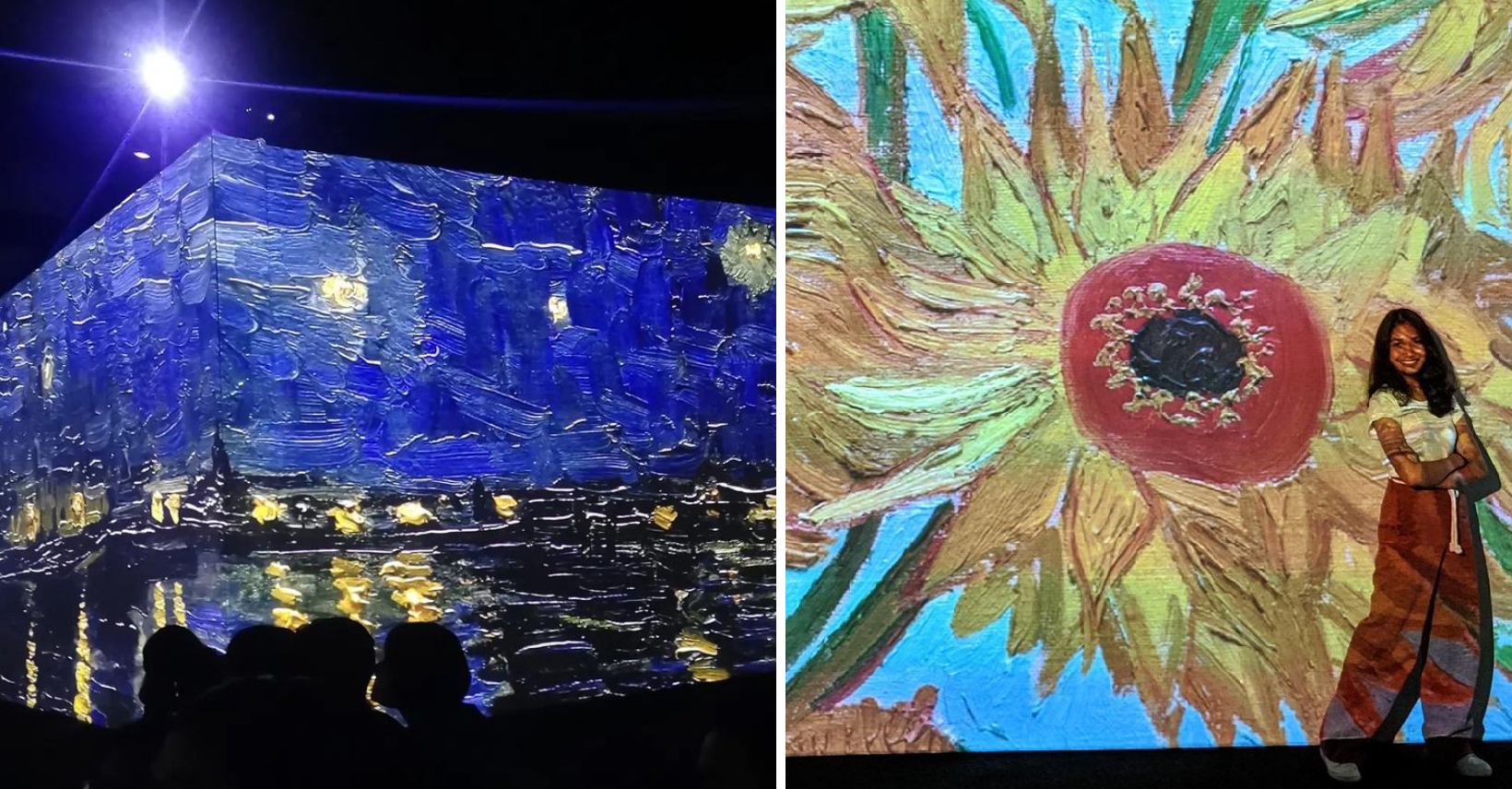 Van Gogh Alive - starry night and sunflowers