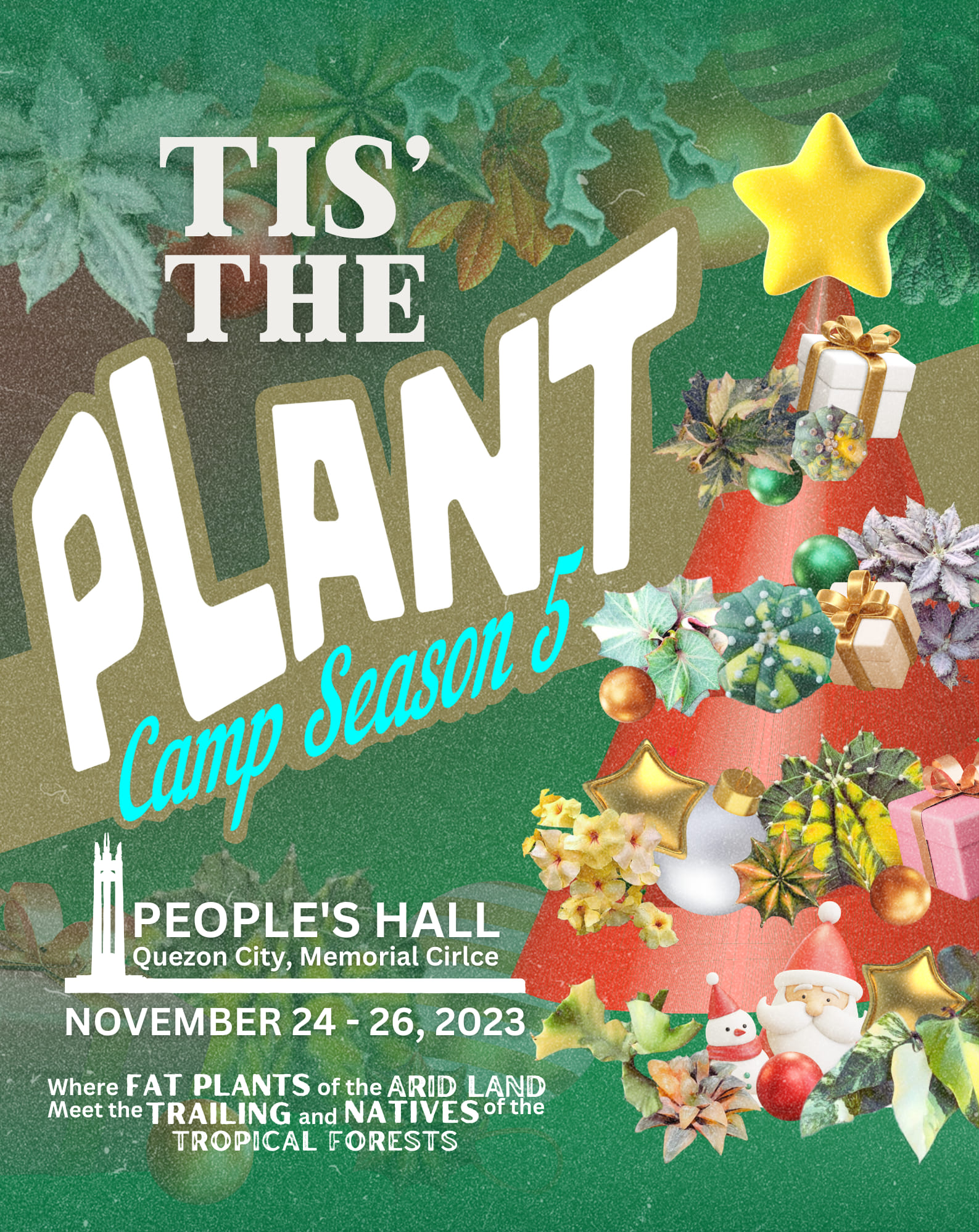 things to do november 2023 - The Plant Camp