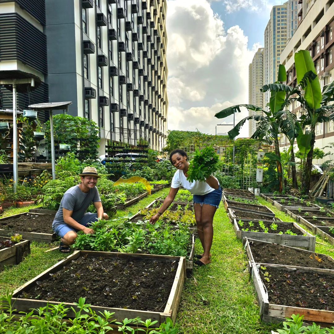 BGC Community Farm