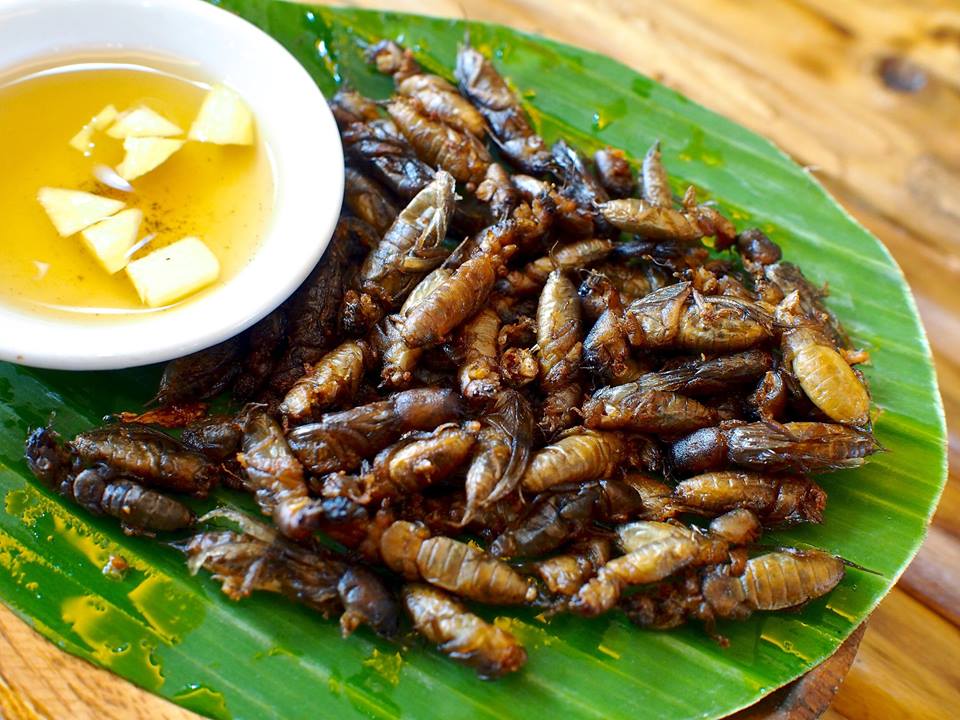 exotic filipino foods - kamaru
